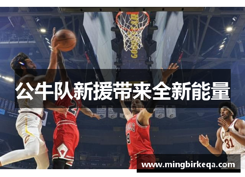 公牛队新援带来全新能量